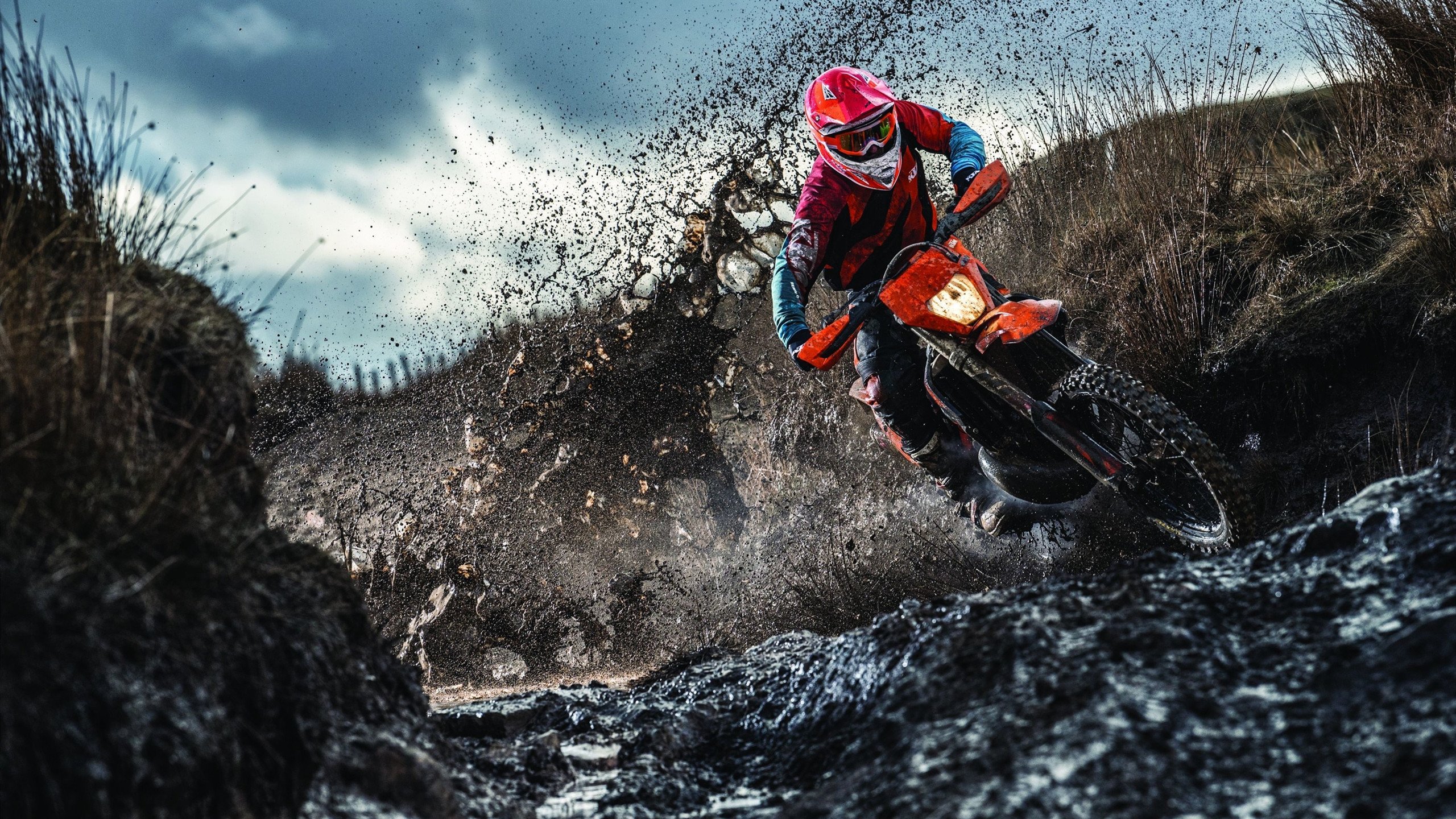 热火后场新星继续展现攻击力，防守仍需提高，热火宣布新星无限期离队 他在直播中种族歧视